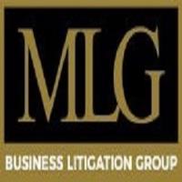 MLG Business Litigation Group image 1